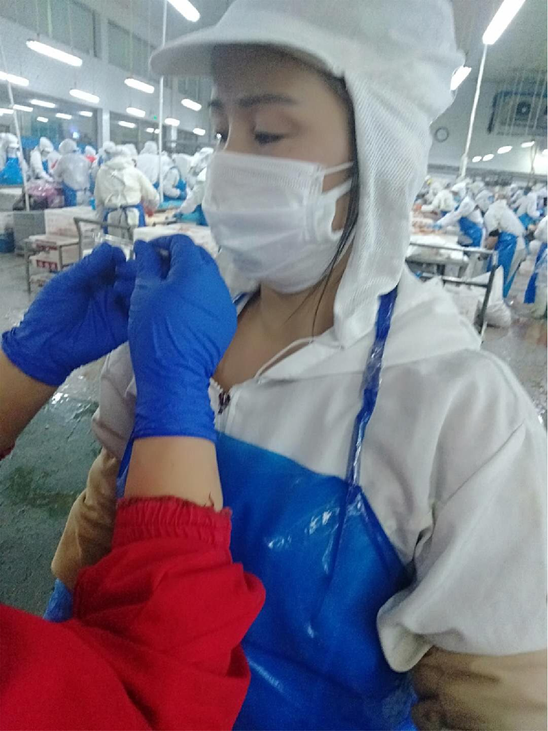 圖片關鍵詞 圖片關鍵詞